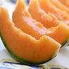Vegetable Melon 'Hales Best (Heirloom)'