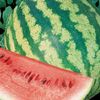 Vegetable Watermelon 'Crimson Sweet'