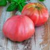 Vegetable Tomato 'Brandywine Pink'