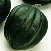 Vegetable Squash 'Table Ace'