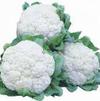 Vegetable Cauliflower 'Snow Crown'