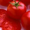 Slicing Tomato