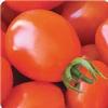 Small-Fruited Tomato