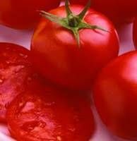 Vegetable Tomato 'Jet Star' Slicing Tomato from Sedan Floral