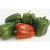 Vegetable Pepper 'Keystone Giant'