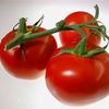 Slicing Tomato