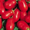 Vegetable Tomato 'Roma'