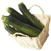 Vegetable Squash 'Zucchini'