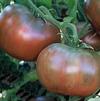 Vegetable Tomato 'Cherokee Purple'